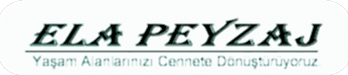 Ela Peyzaj Bahçe Bakım ve Tasarım