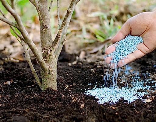 İLAÇ ve GÜBRELEME İŞLEMLERİ